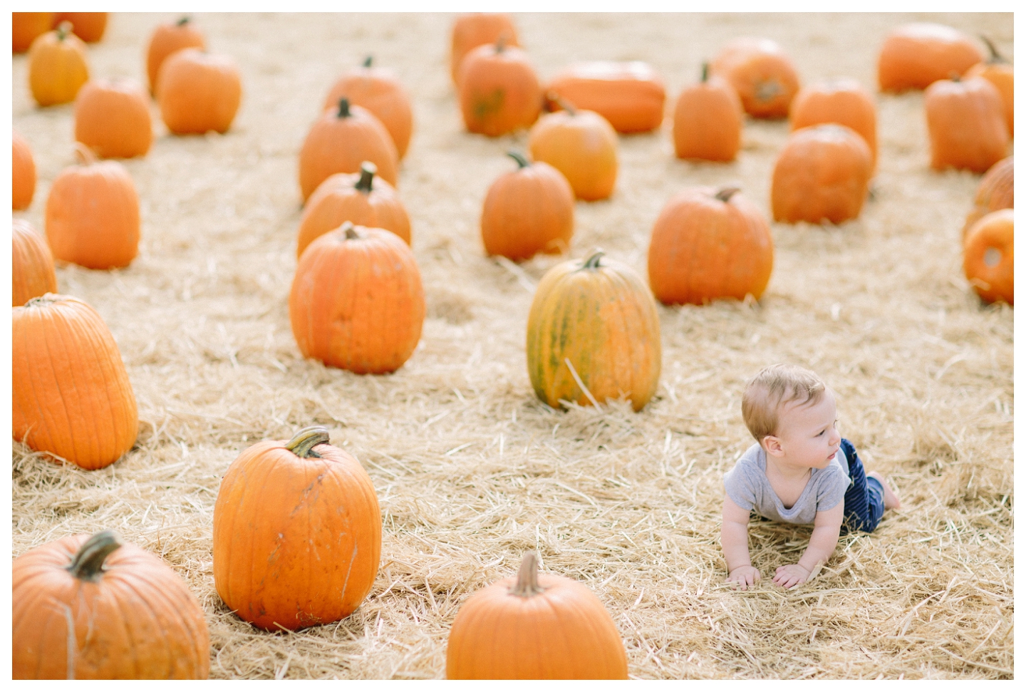 baby toddler mom blog entreprenuer photographer_0922.jpg