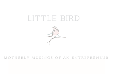 Lifestyle blog balancing raising littles and full time entrepreneur